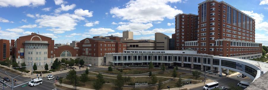 Albert B. Chandler Hospital