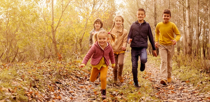 Children play together in park.