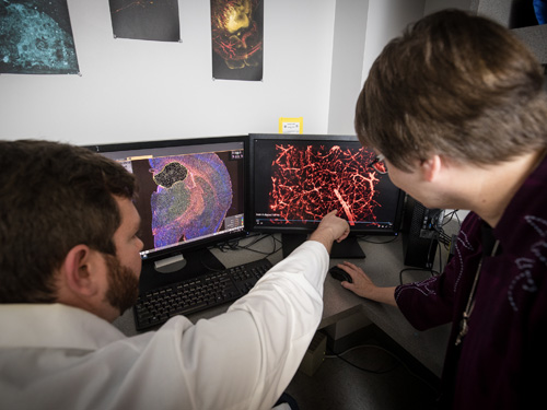 Researchers looking at computers