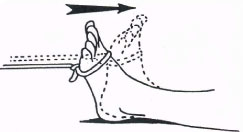 Resisted dorsiflexion illustration