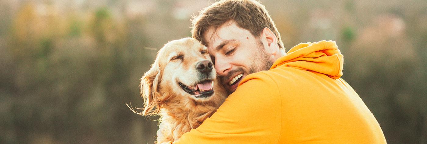 A man wearing a yellow hooded sweatshirt hugs a Golden Retriever.