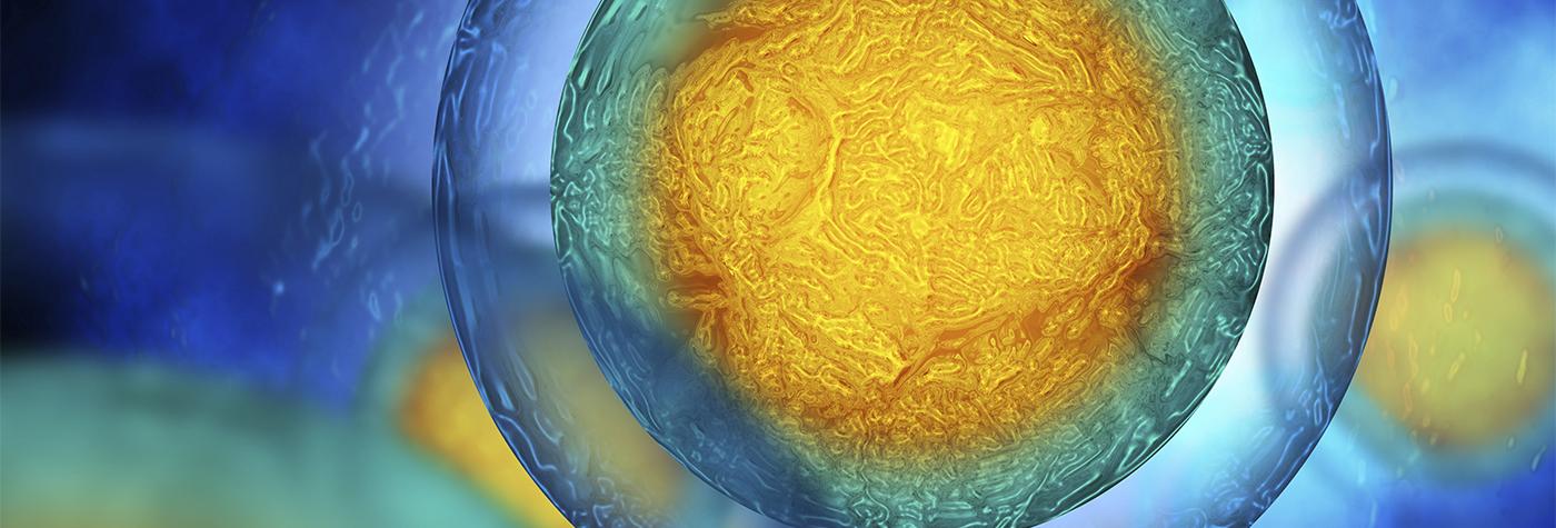 Flow Cytometry