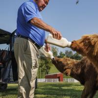 Bruce Drake feeding cows on his farm.