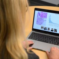 An over-the-shoulder shot of Dr. Kolesar looking at graphs and data on her laptop.