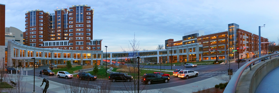 Albert B. Chandler Hospital